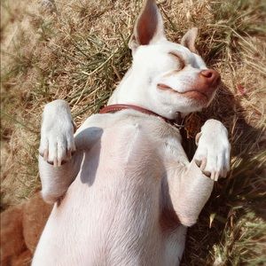 Meet your Posher, Davina